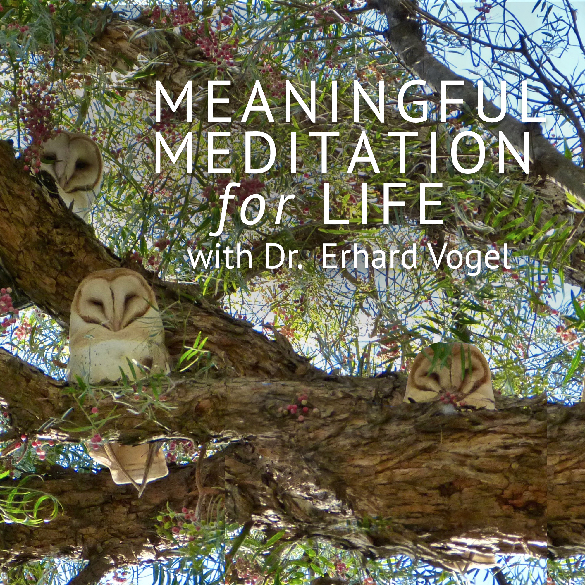Meaningful Meditation for Life